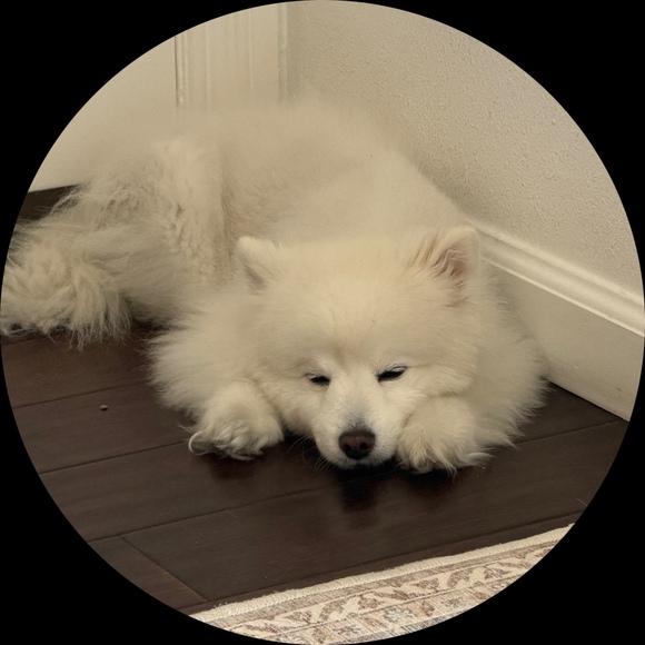 phoebebufet